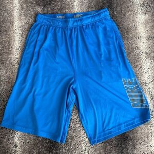 Nike Men's Blue Athletic Shorts
